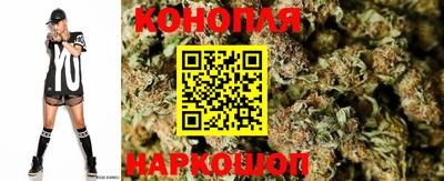 каннабис Кингисепп