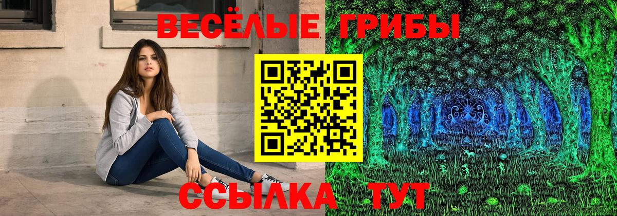 Галлюциногенные грибы мухоморы  Вход с VPN  Королёв  Псилоцибиновые грибы ЛСД 